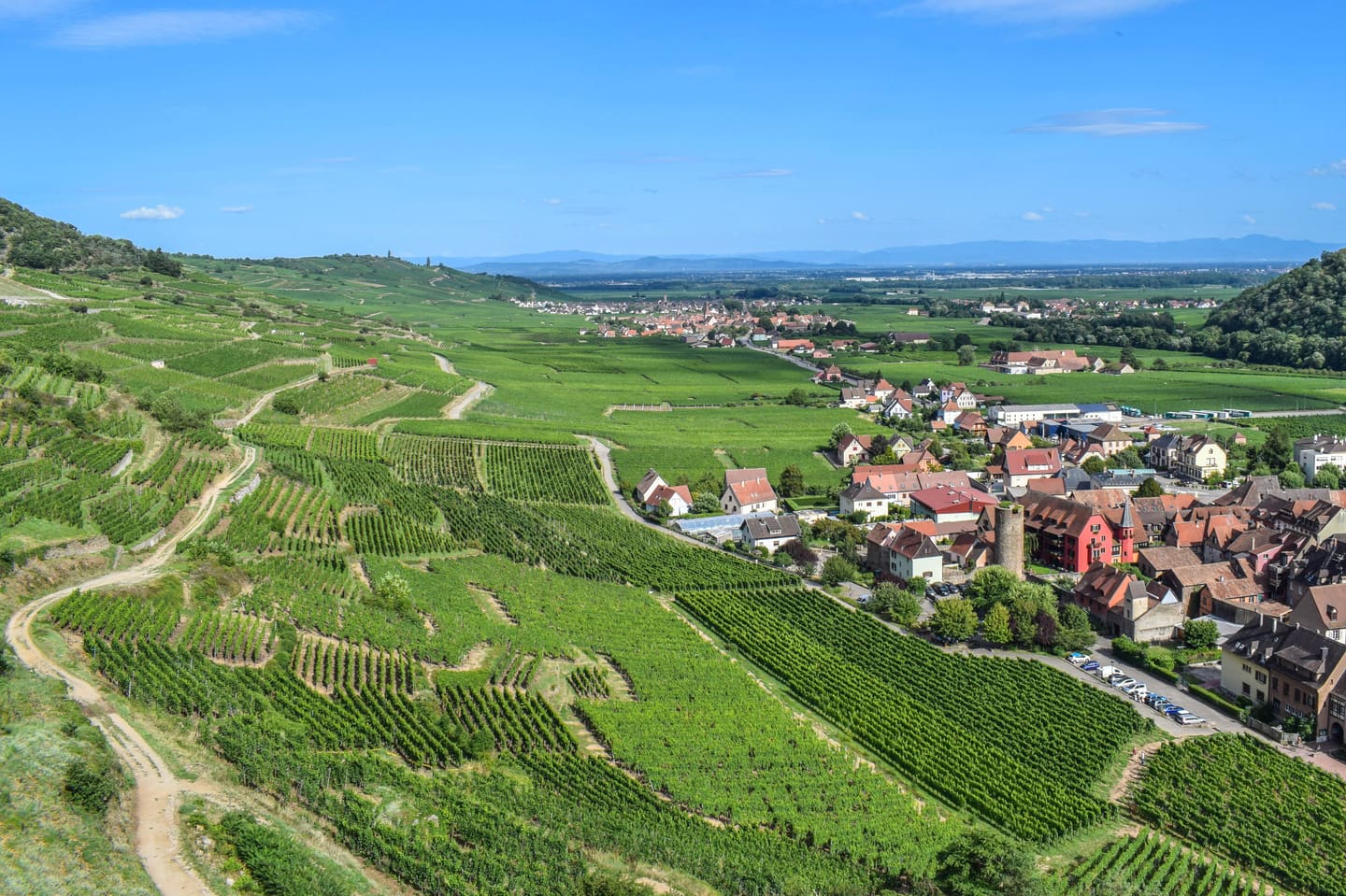 Rolling wine-country hills with vineyard parcels